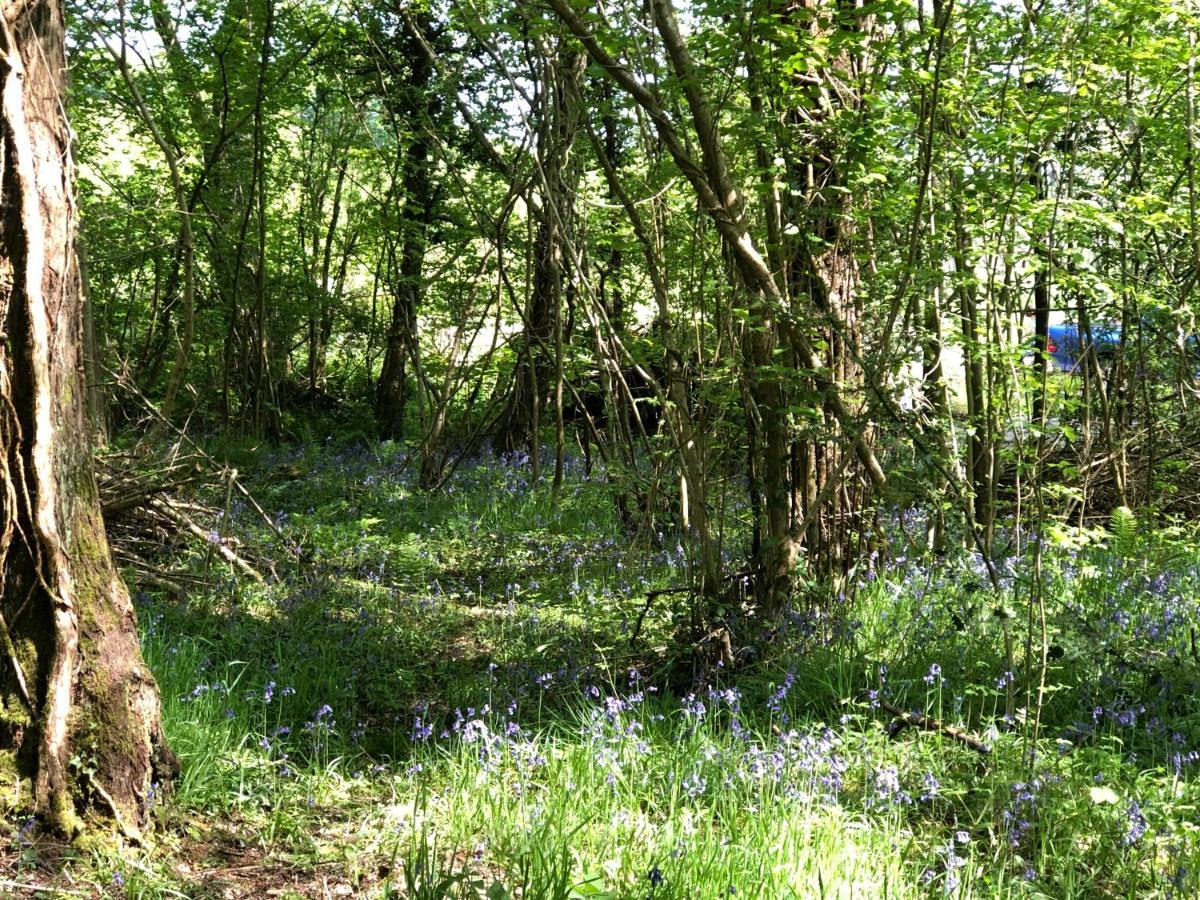 Coed Y Marchog Woodland Retreat Villa เฮริฟอร์ด ภายนอก รูปภาพ