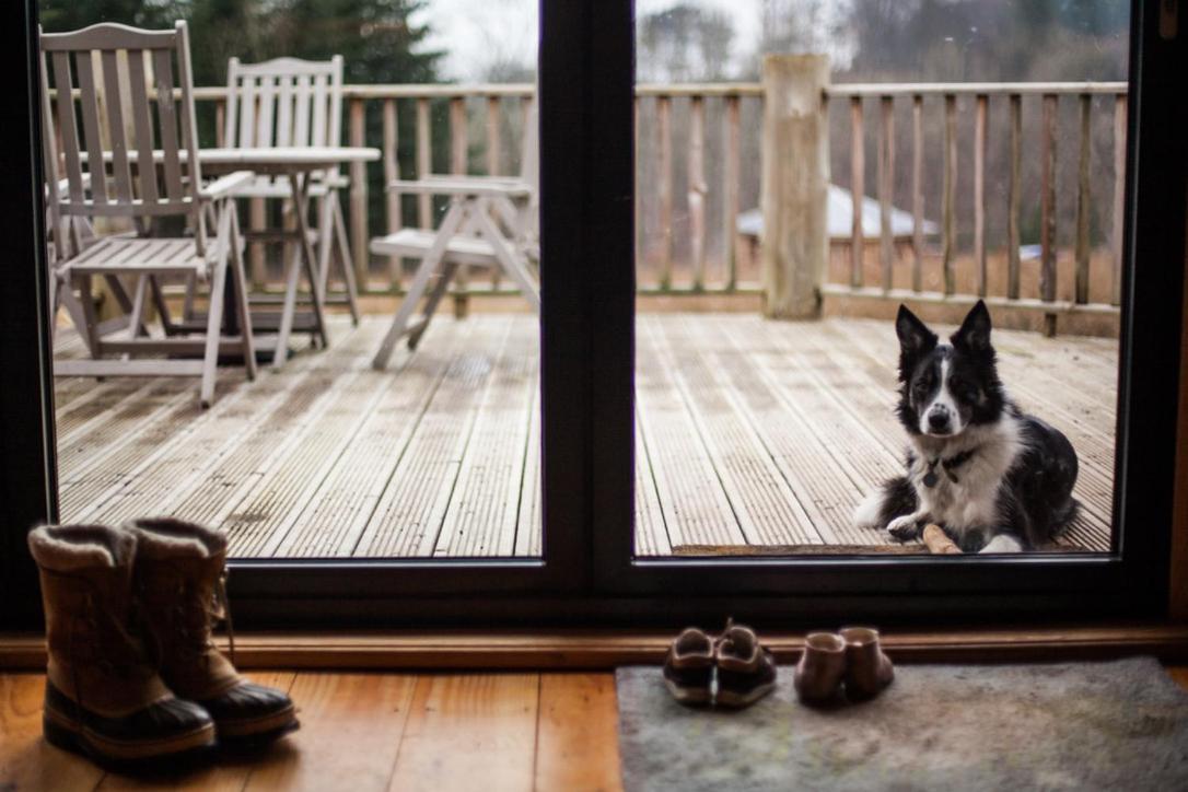 Coed Y Marchog Woodland Retreat Villa เฮริฟอร์ด ภายนอก รูปภาพ